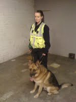 Security Patrol Dogs