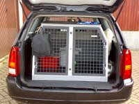 Discrete Dog Friendly Cars