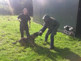 Security Patrol Dogs